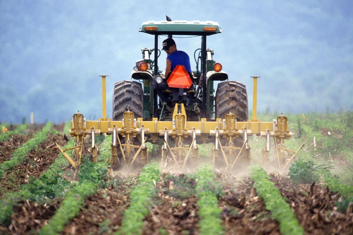 No-Till Can Only Be Applied to Arable Crops.jpg